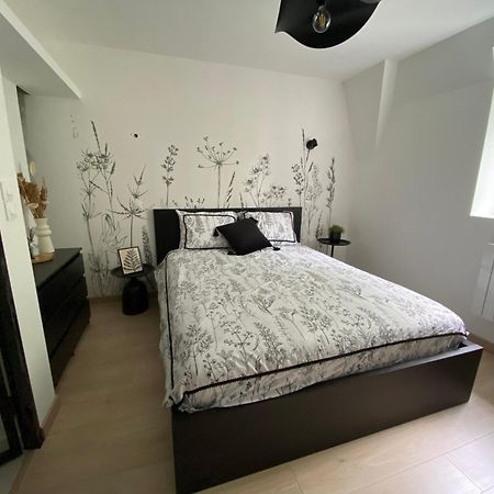 L'Atelier D'Arches Διαμέρισμα Charleville-Mézières Εξωτερικό φωτογραφία